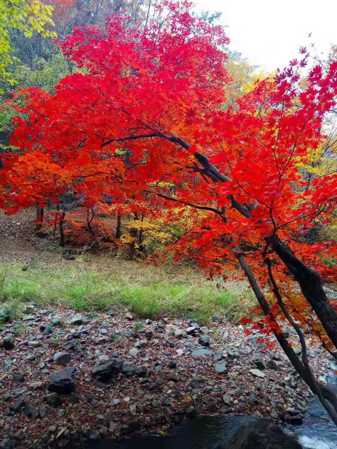 坚持的幸运,坚持奋斗幸福永远笑在最后