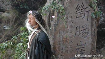 穿越到各种武侠世界,穿越金庸武侠世界学什么武功