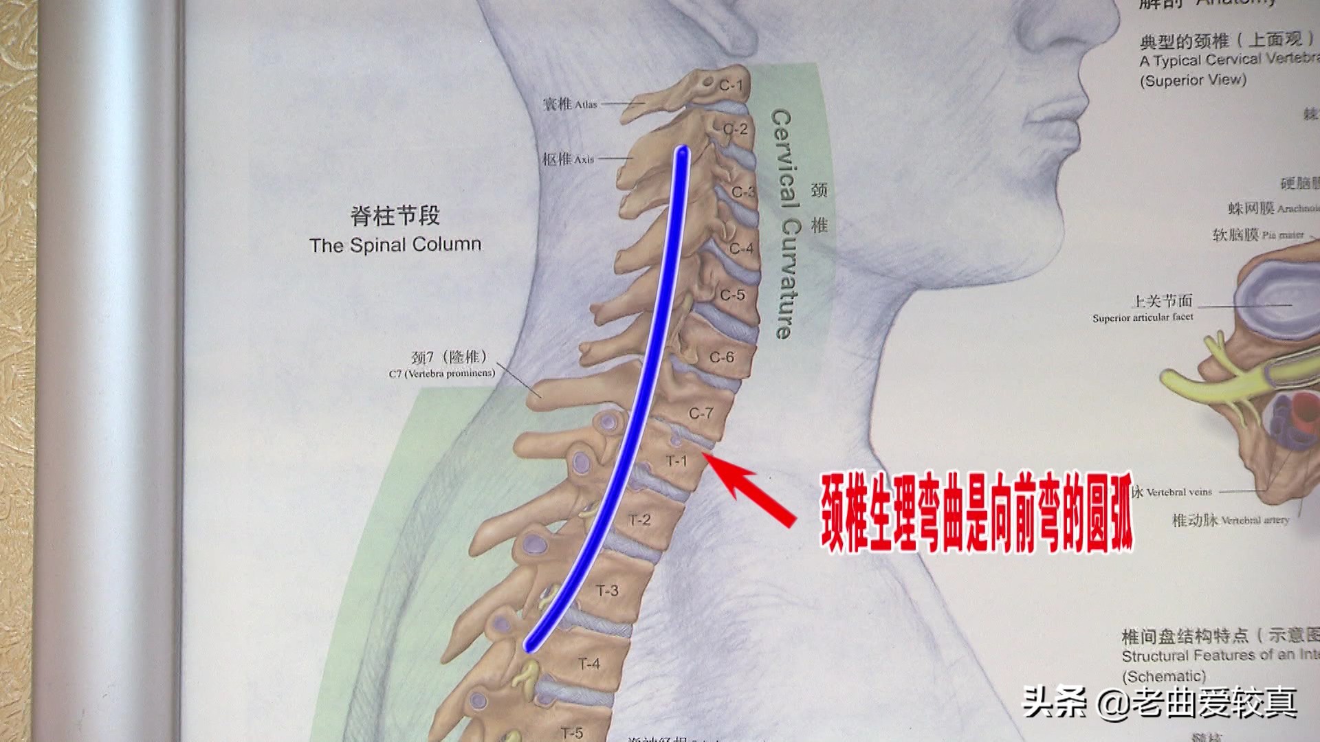 枕瓶子真的能治好颈椎病吗,酒瓶子当枕头可以治疗颈椎病吗