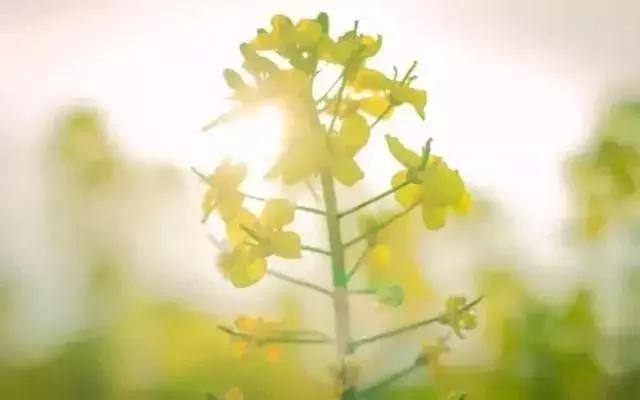 最怕听懂一首歌多年以后,最怕听懂一首歌时会泪流满面