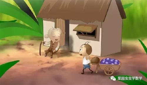 菜园种菜数学问题,菜地种菜数学问题