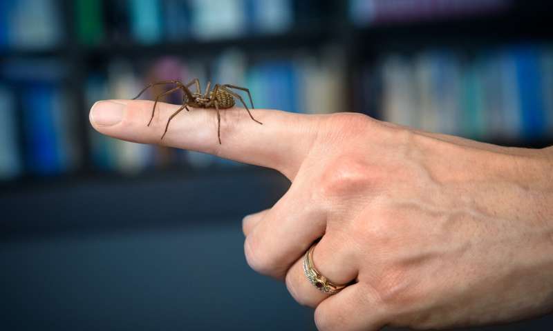 皮质醇高导致焦虑怎么办,皮质醇有点问题怎么调理