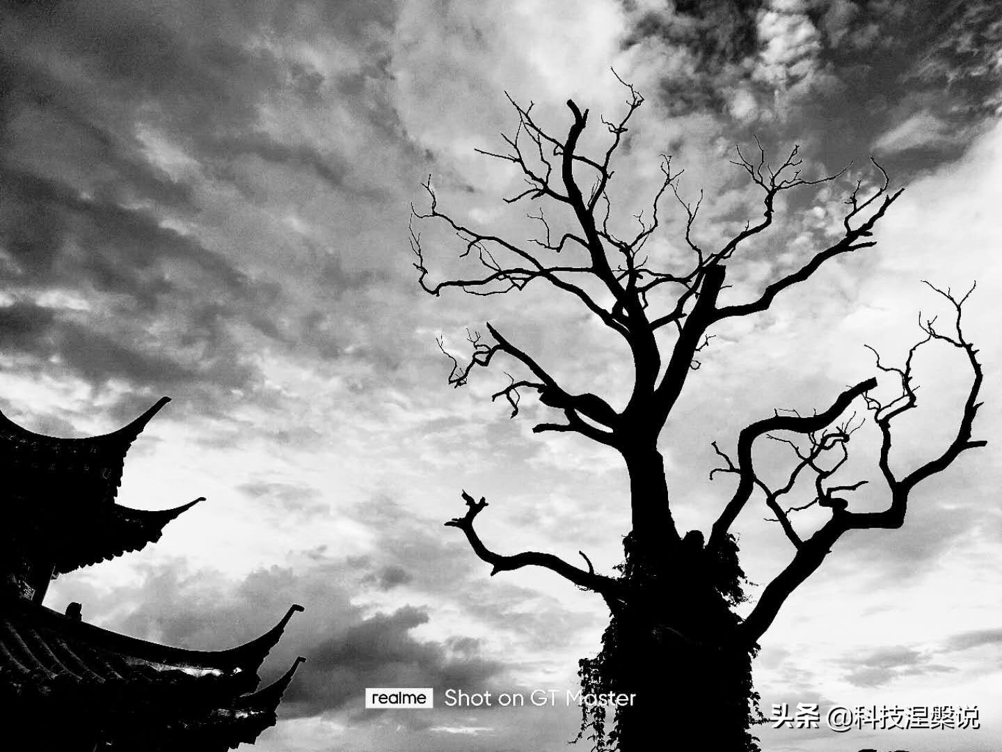 realme真我q3pro上手评测千元机皇,真我realme哪个手机值得入手