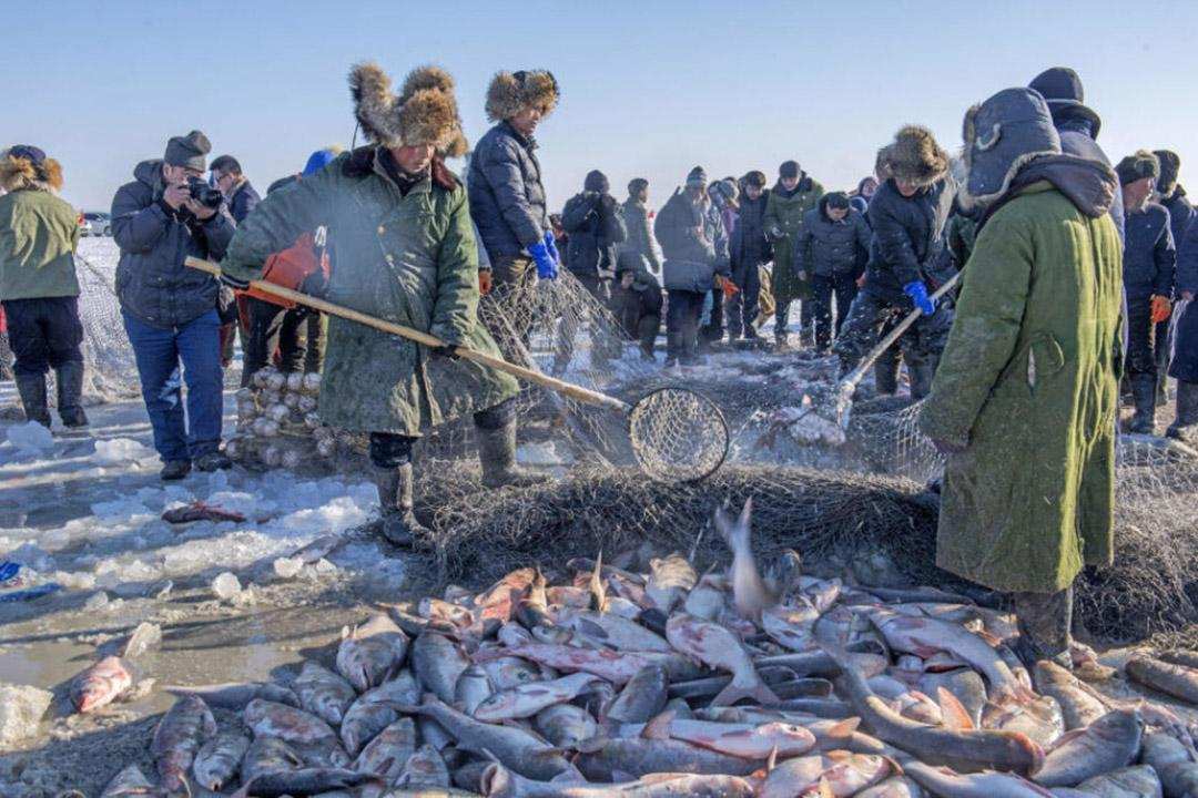 查干湖一网多少万斤鱼,一网捞出来七万斤鱼冬捕