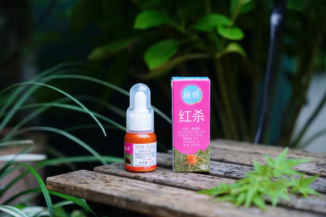 养花常见病虫害及处理方法,养花病虫害必备知识大全