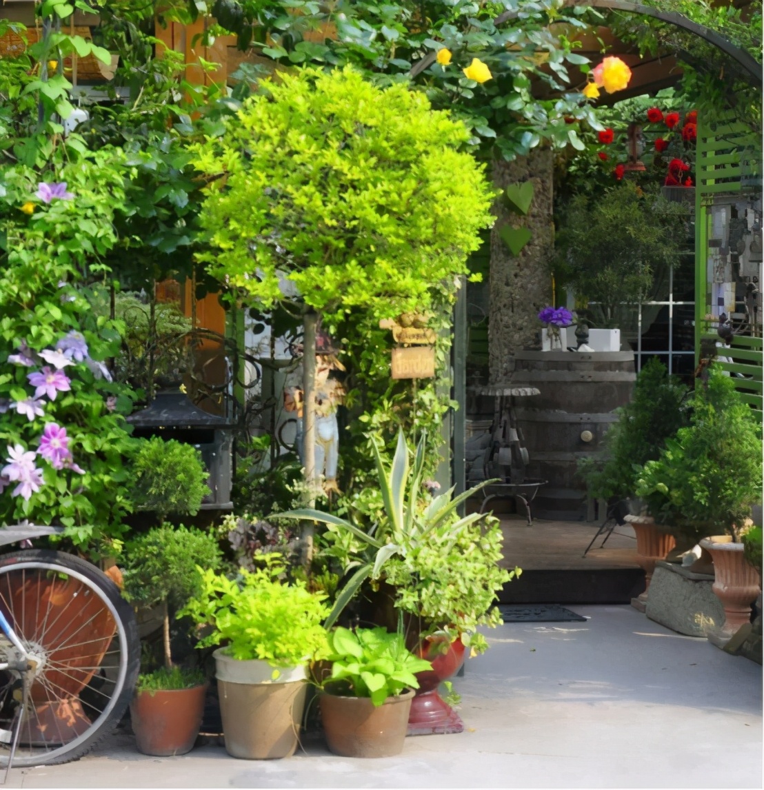 她40岁退休隐居,她40岁退休隐居无儿无女