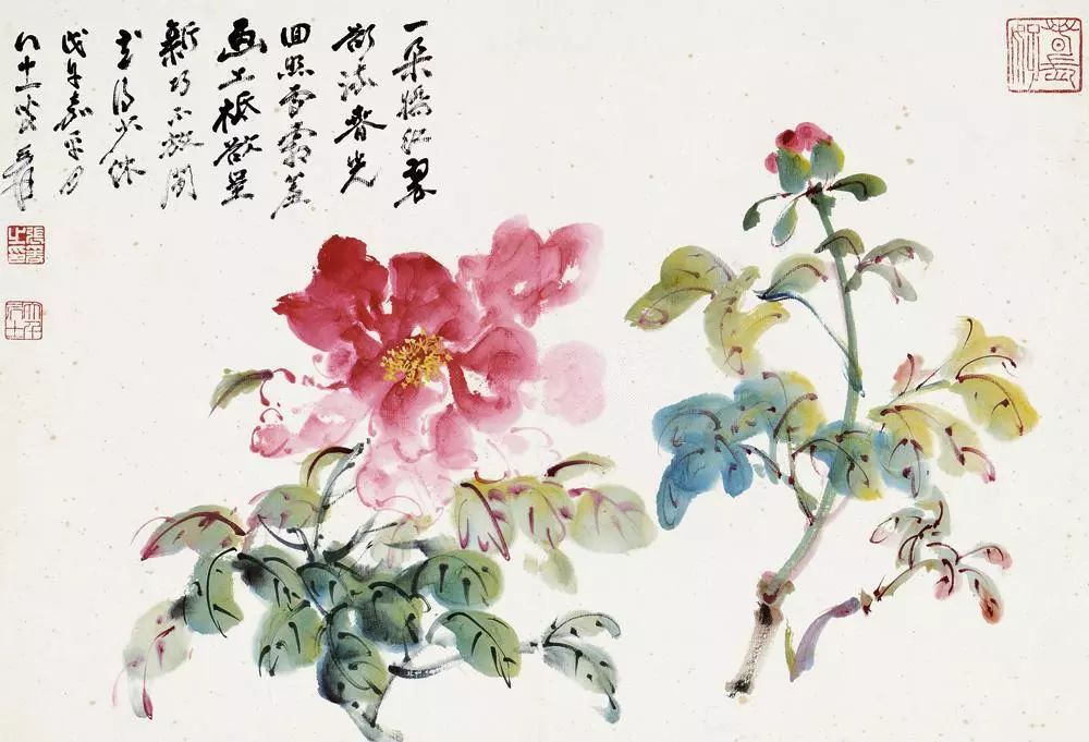 100幅精美写意牡丹画,名家大写意画牡丹作品图片