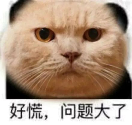 粉头教唆未成年给偶像集资，初二女生连吃一学期方便面致停经