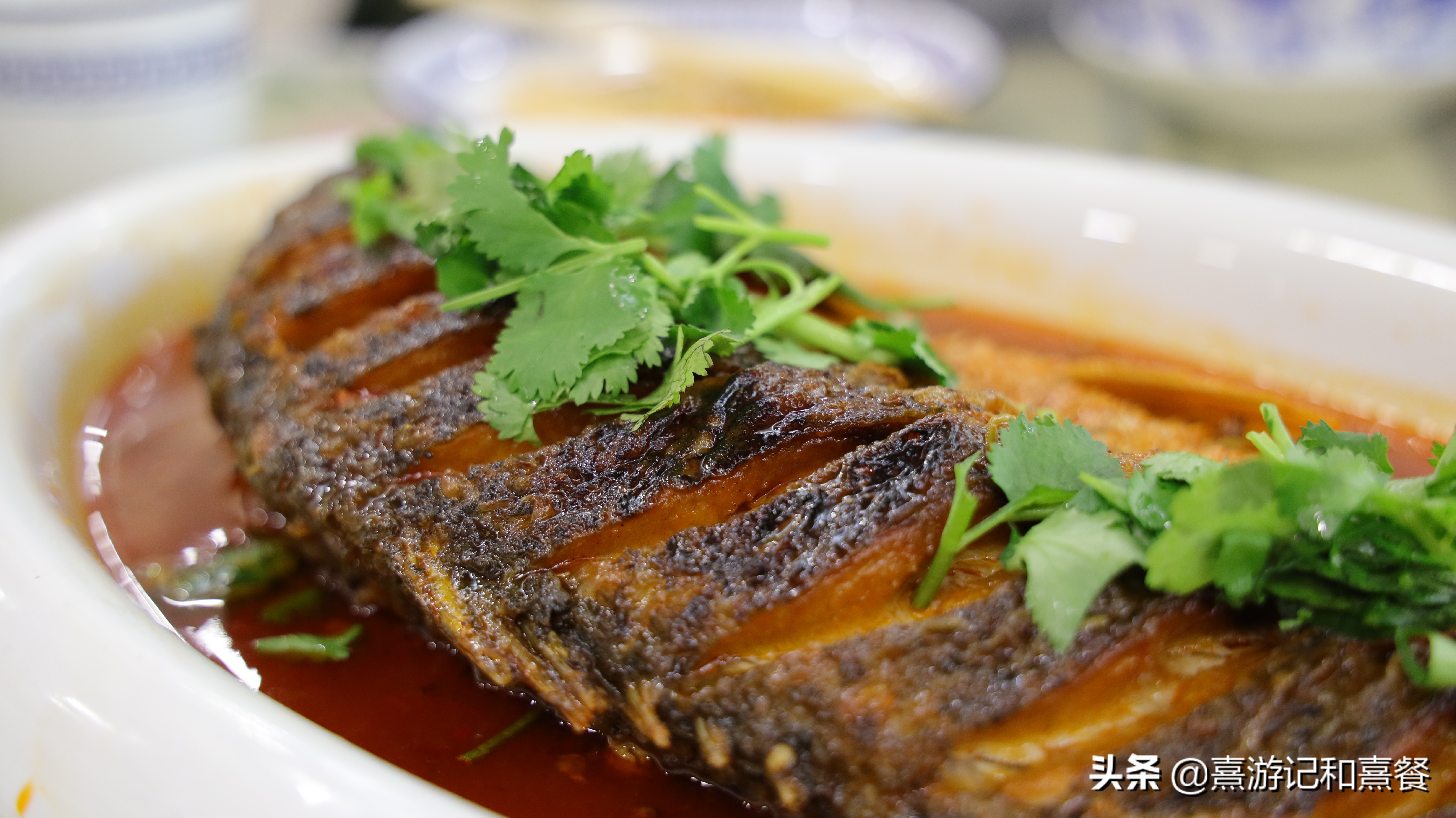 中卫沙漠旅游最合适景点,中卫的沙漠好玩吗