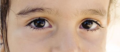 HI西柚|叮！你的护眼攻略已上线，一起来每日打卡吧！