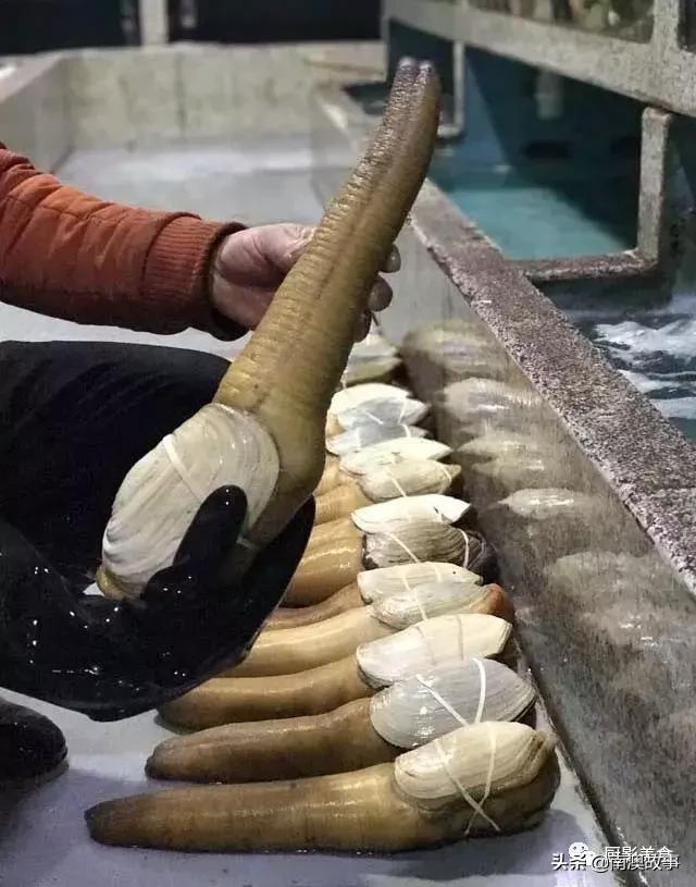 水煮贝壳类海鲜煮多久,海边海鲜用什么水煮好吃