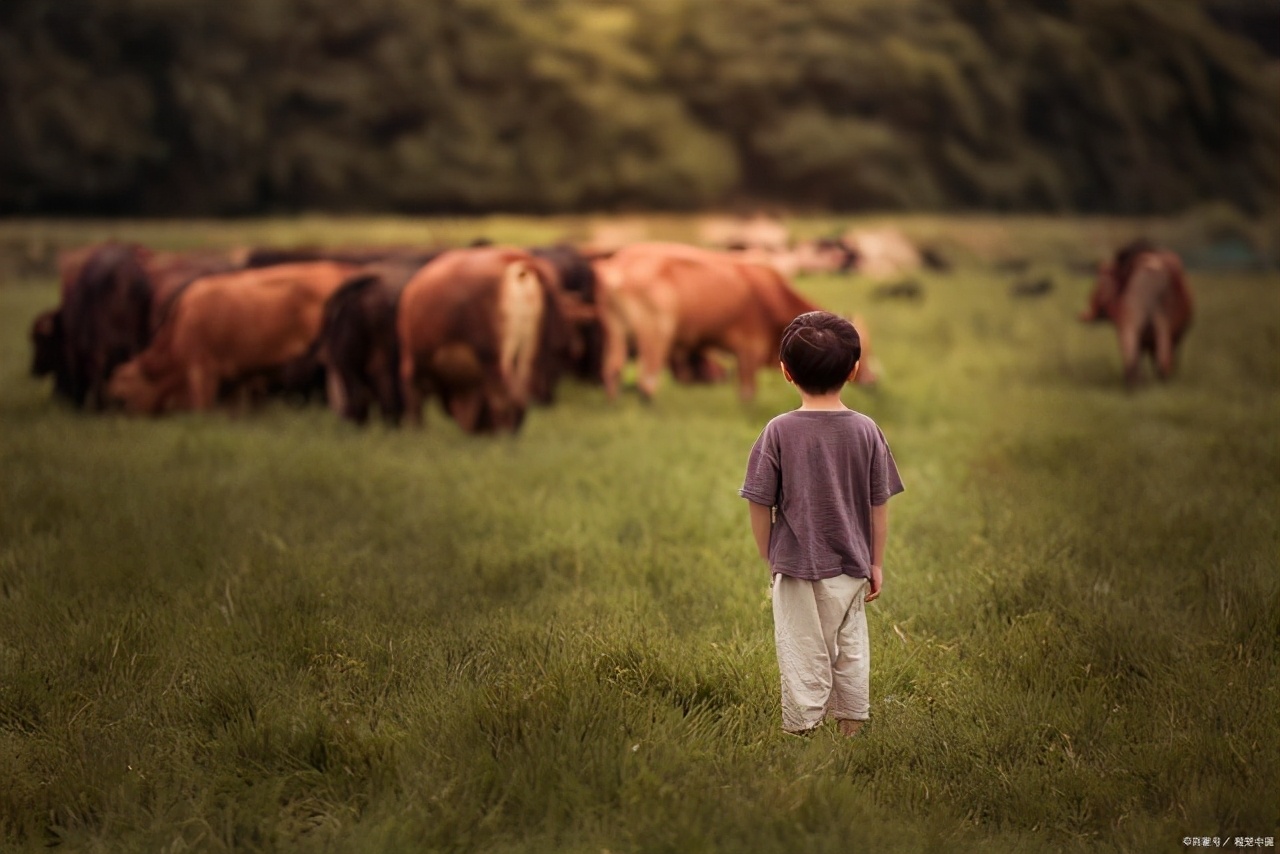 姓吴的双胞胎男孩名字寓意好的,独一无二的吴姓男孩名字