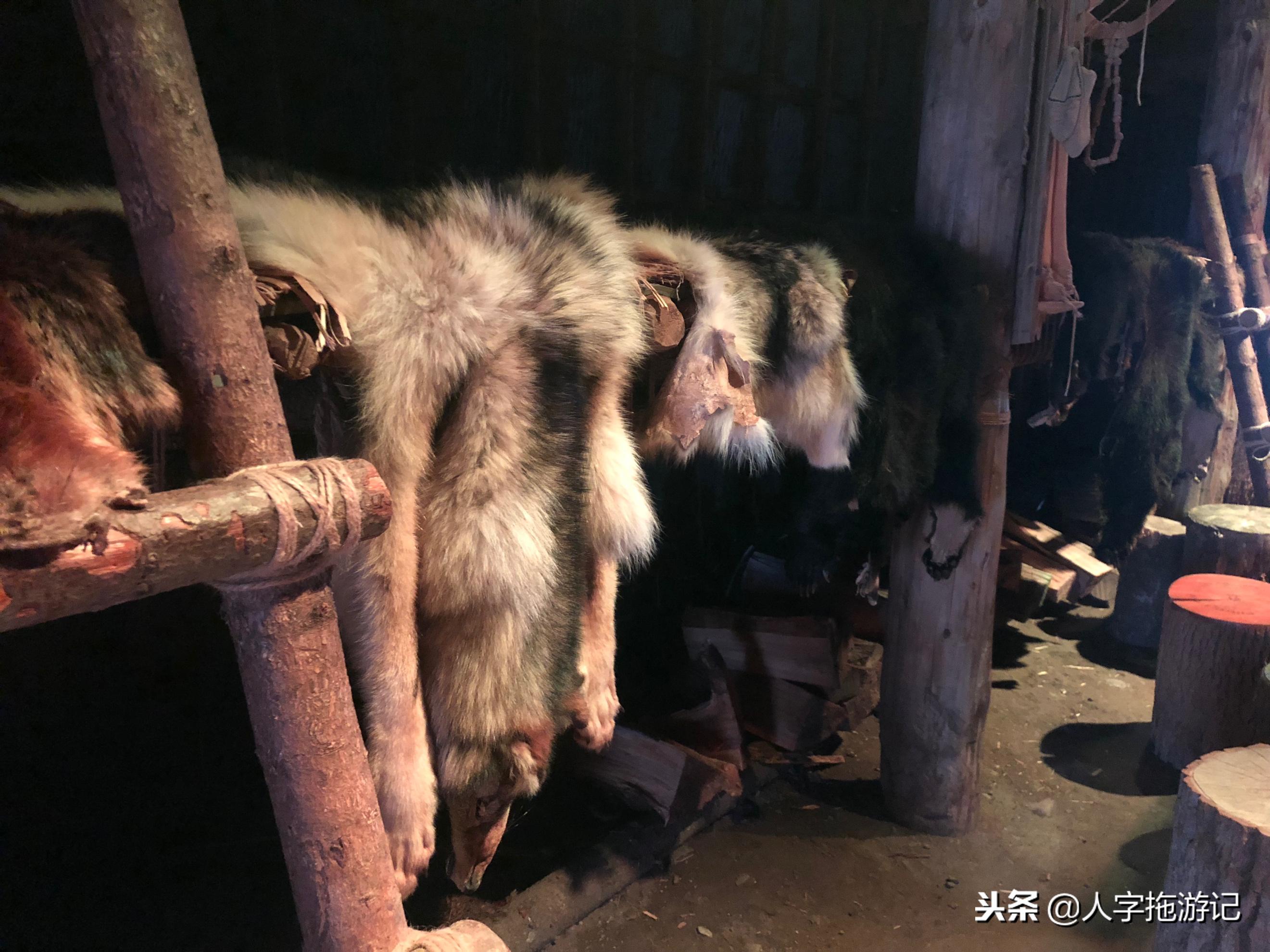 冬日极客,加拿大Wendake穿着狼爪去狼族