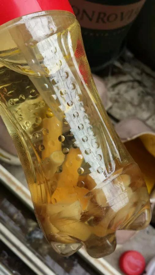 自制杀虫水多久浇一次,月季生虫自制杀虫水