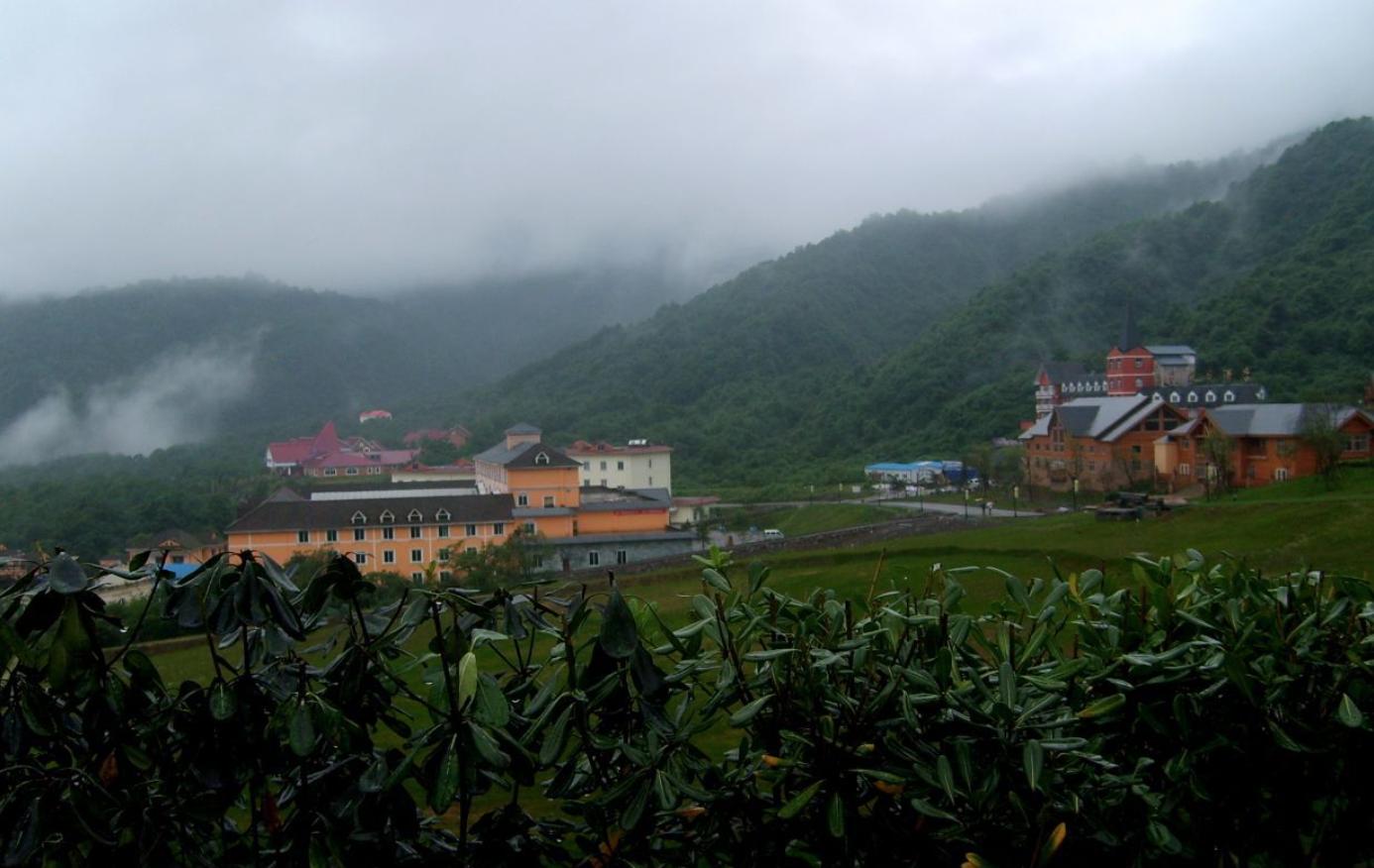 成都氧吧,成都天然氧吧