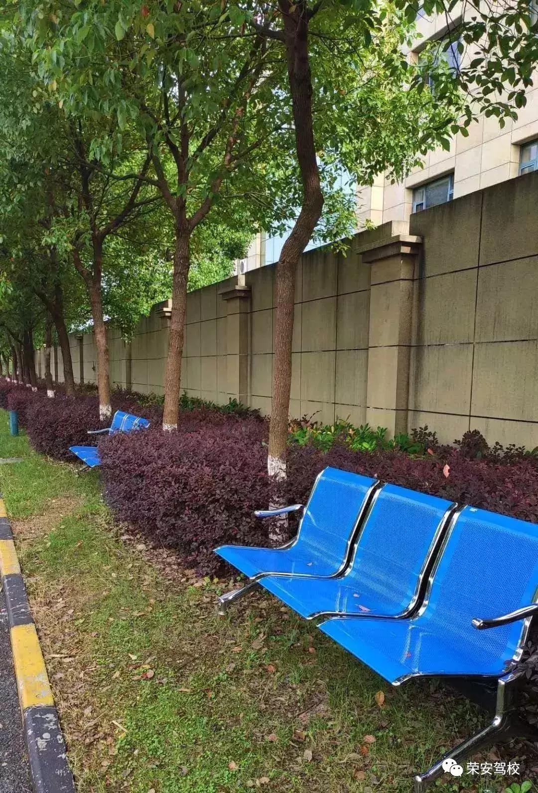 在吗是我小羊咩咩呀,在吗我