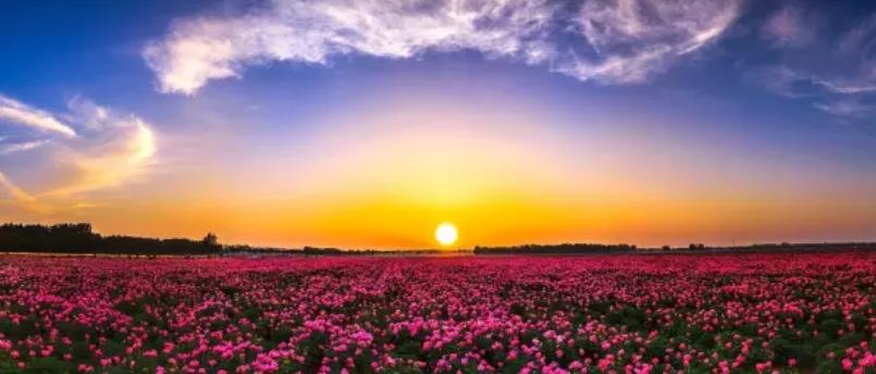 关于安徽风景的古诗,安徽诗中的风景