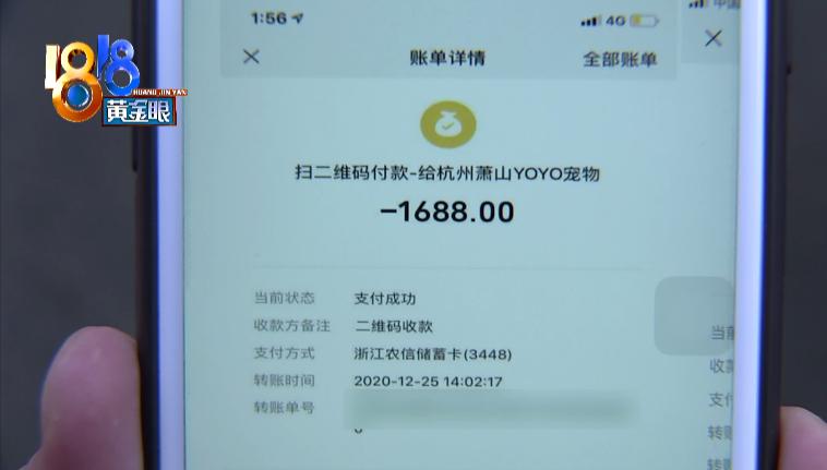 比熊犬刚买回来就死了,比熊从宠物店买回来生病了