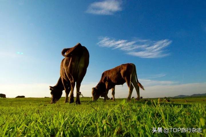 原来长沙隐藏了这14个人少景美的江心洲!不出城就能感受“海岛风情”,有些可以追溯到五代十国……