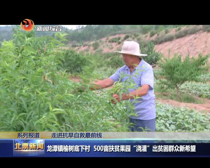 北票农业扶贫产业园,辽宁省北票市龙潭乡榆树底村电话