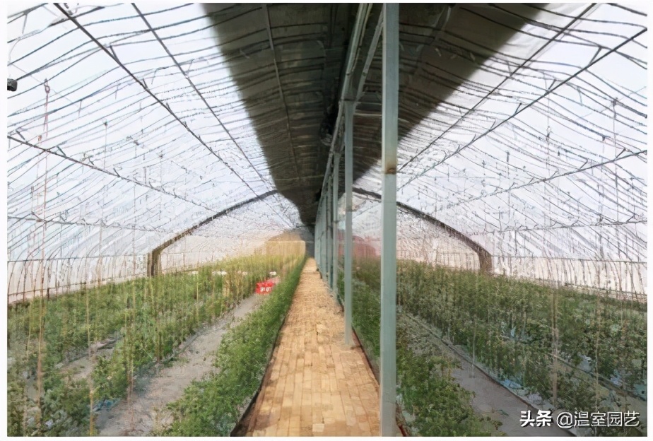 表冷器风机,风机表冷器工作原理