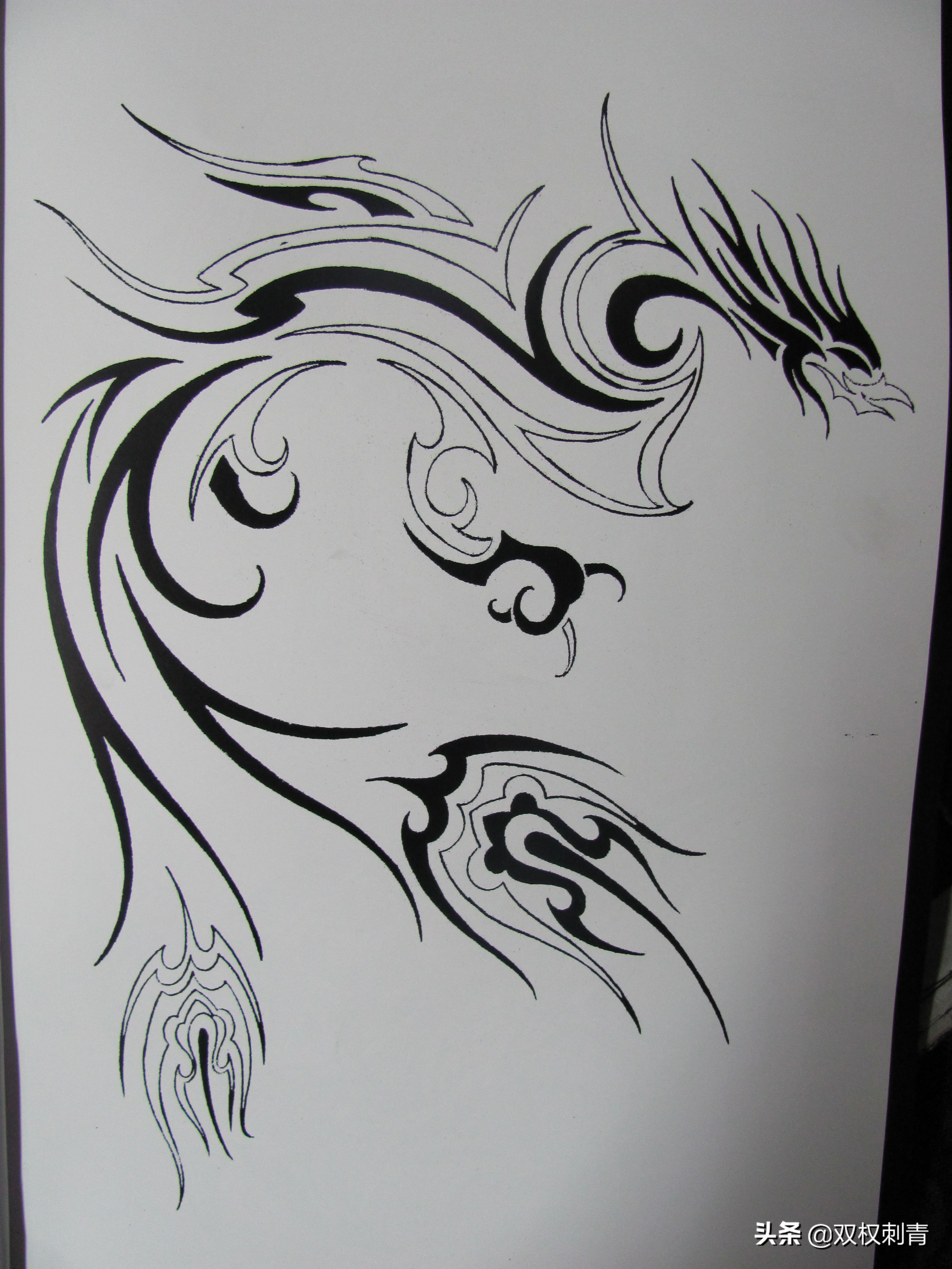 凤凰图腾图,张氏图腾图