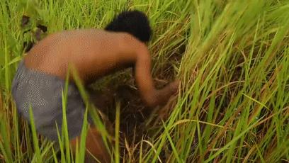 木棍怎么挖出泳池,一根棍子挖出一个游泳池