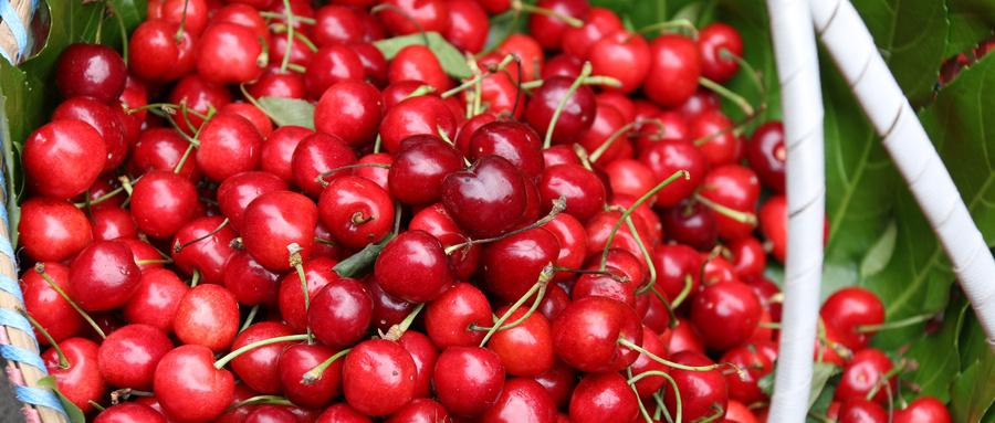 贵州的织金洞旅游攻略,贵州织金洞旅游自由行攻略