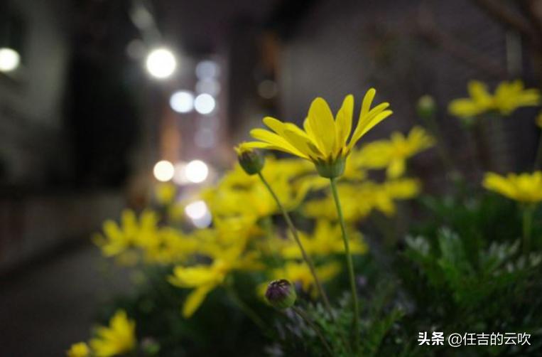 外网测评top1,理光gr测评