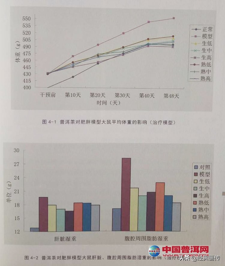 荷叶普洱茶有减肥的功效吗,普洱茶的减肥功效