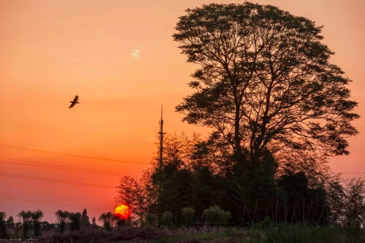 元代散曲简介50字,元代有名的散曲30首