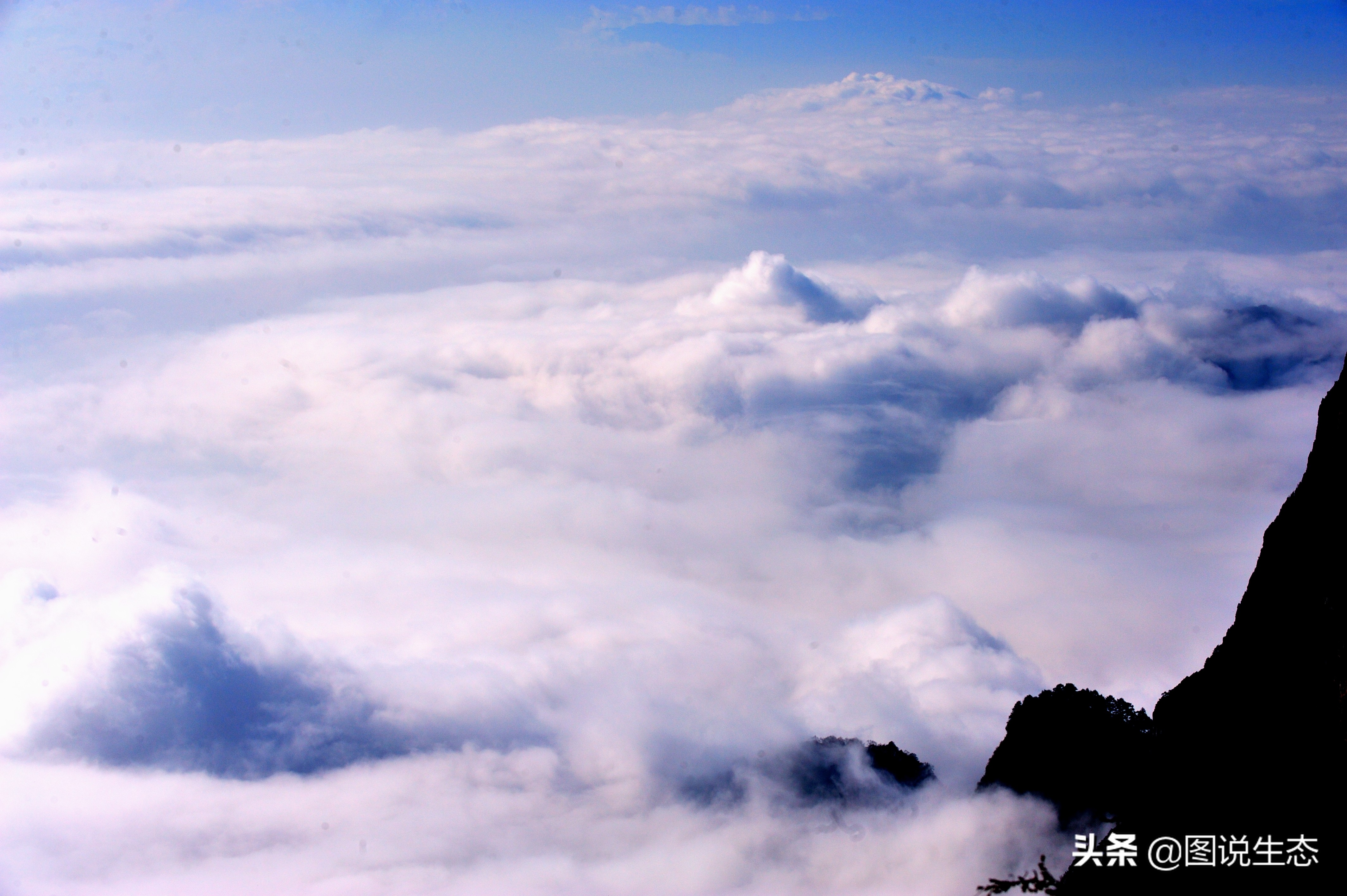 登上峨眉山金顶看风景,峨眉山日出云海佛光圣灯照片