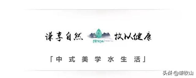 茶谱简单又好听,泡茶常识和技巧