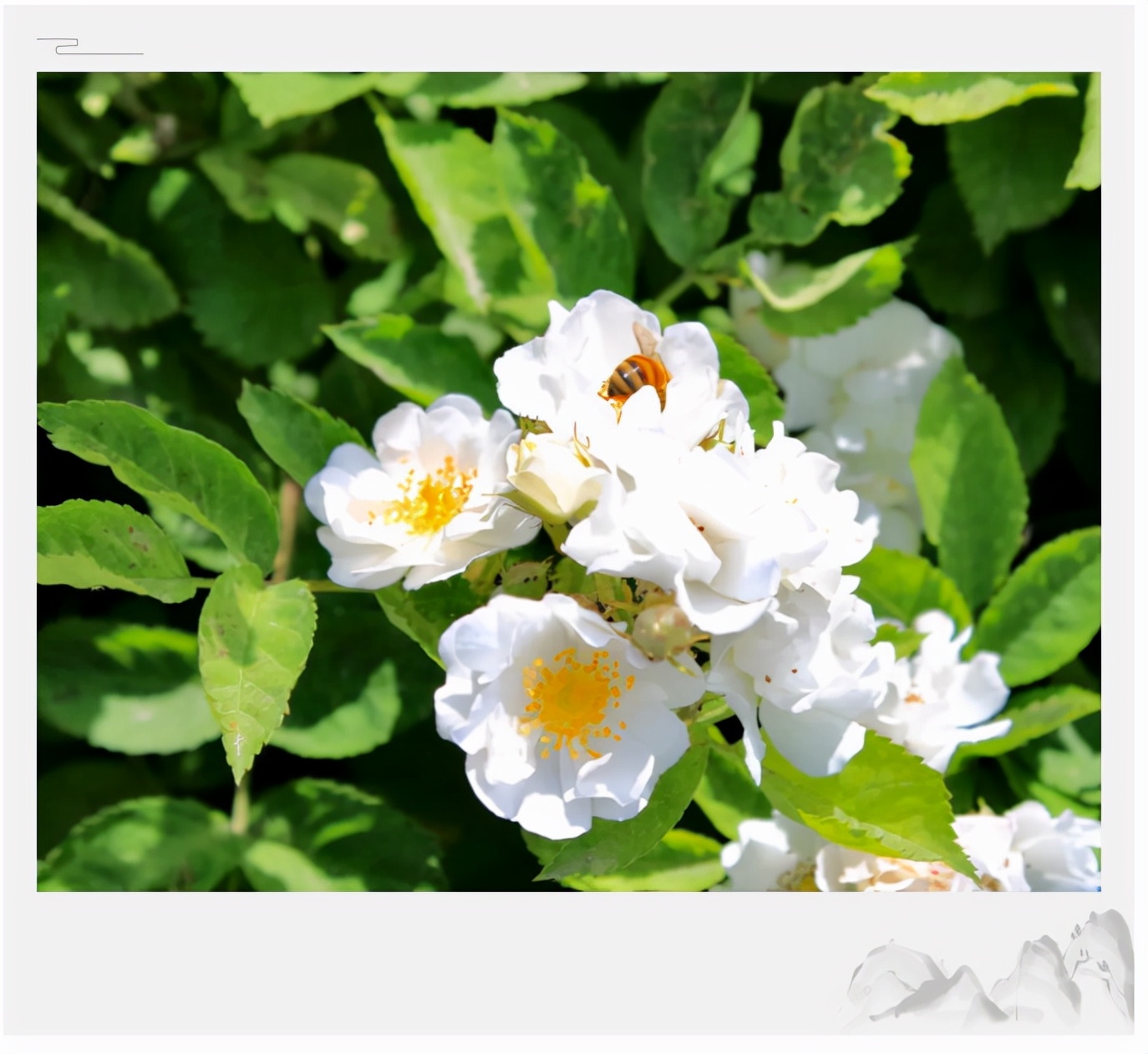 坐拥“专属地铁”,有7大美食集结地!东北这所大学“顶尖”配置太绝!