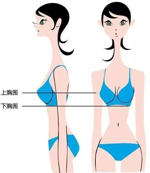 产后怎么选内衣,产后内衣应该怎么选型号