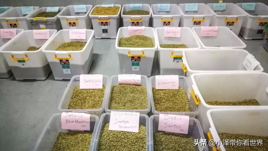 印度尼西亚猫屎咖啡工厂,印度尼西亚正宗猫屎咖啡价格