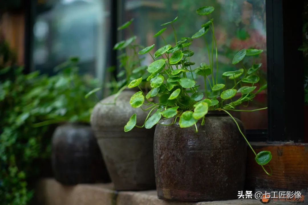 七工匠75mmf1.25夜神人像镜头,七工匠75mmf1.25参数