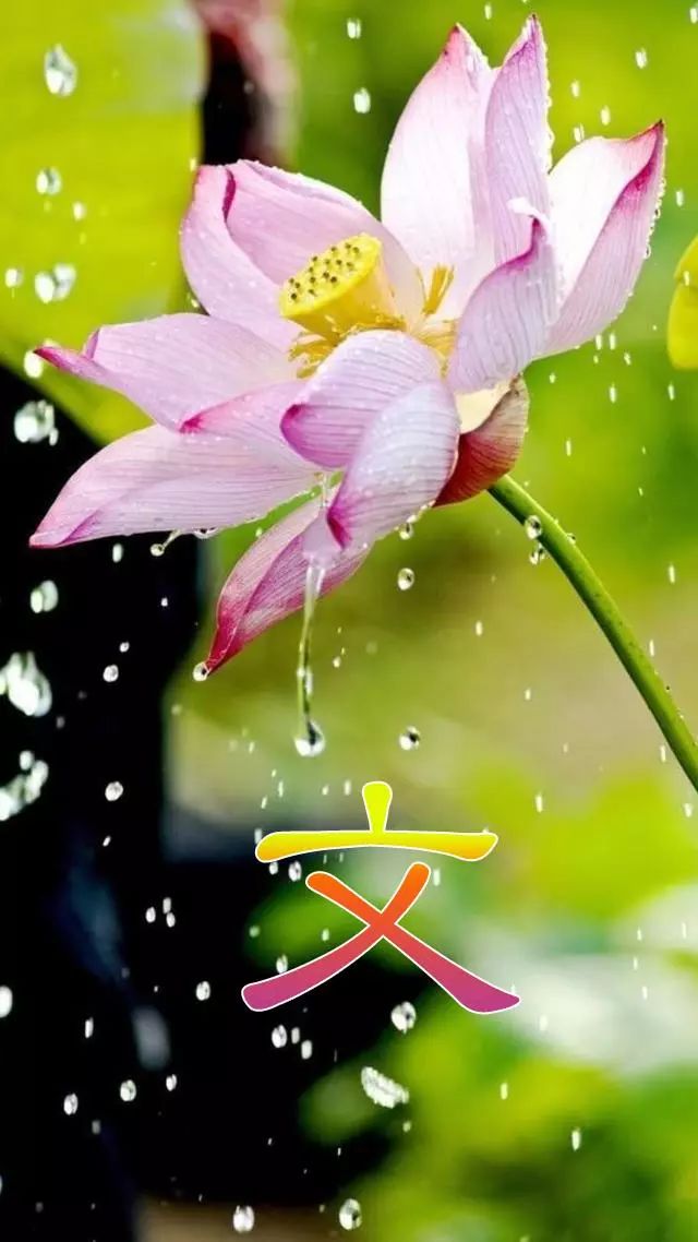 珠宝翡翠艺术字体,翡翠字体图片欣赏