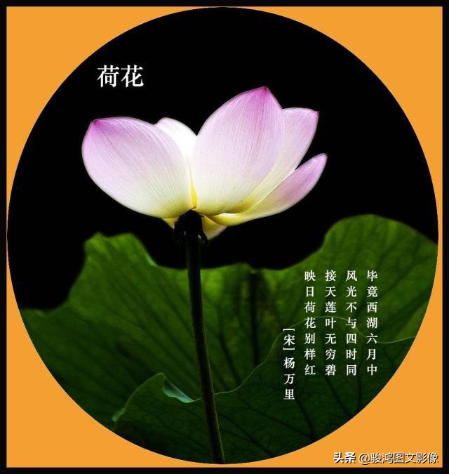 ps抠图方面设计思路与设计步骤,pscs5怎么抠图详细步骤