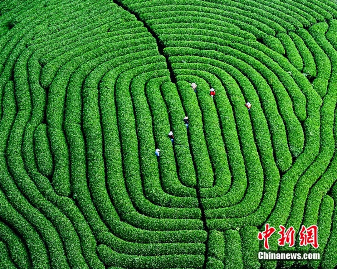 武夷山为啥名气不大,武夷山还好吗