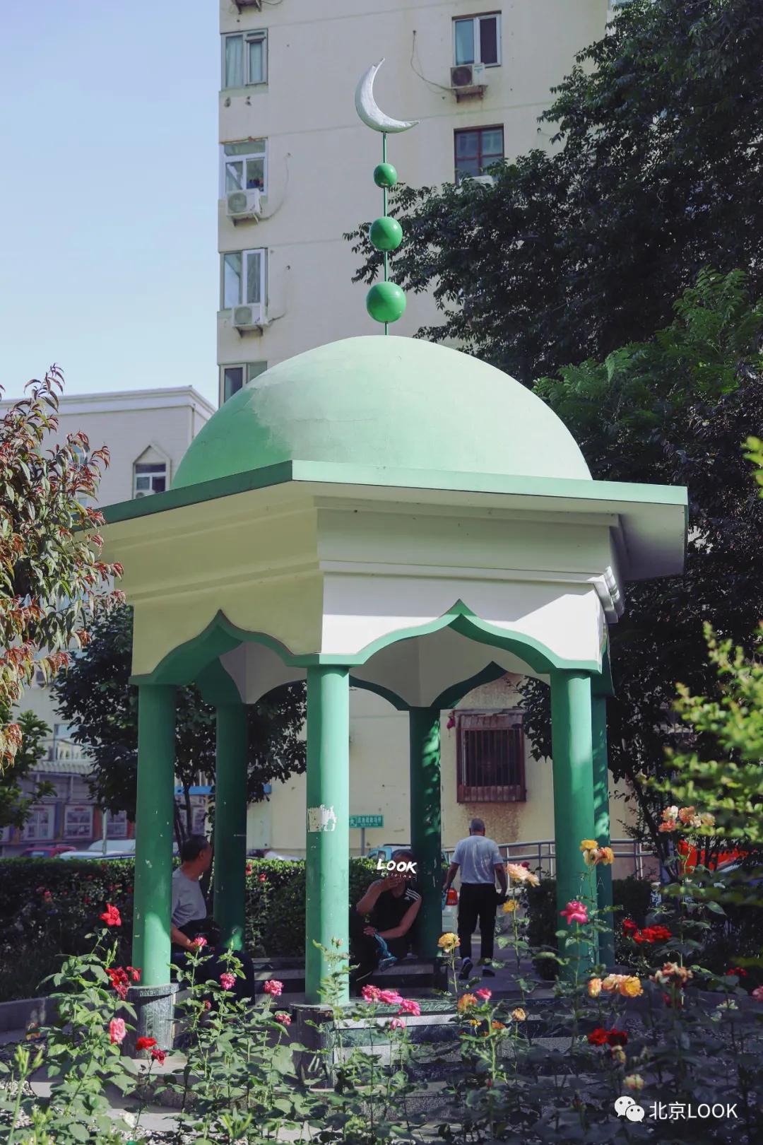 这就是牛完整视频,北京市牛街