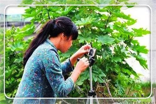 致富门路创业好项目排行榜,农村创业致富的好项目