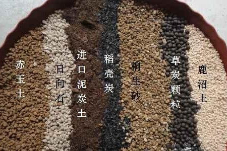 美国赠送的月岩被证实是假货,美国赠送月岩