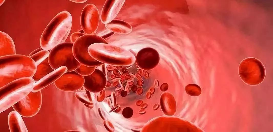 一篇文章教你读懂体检表上的血常规，超实用的血液常识来啦