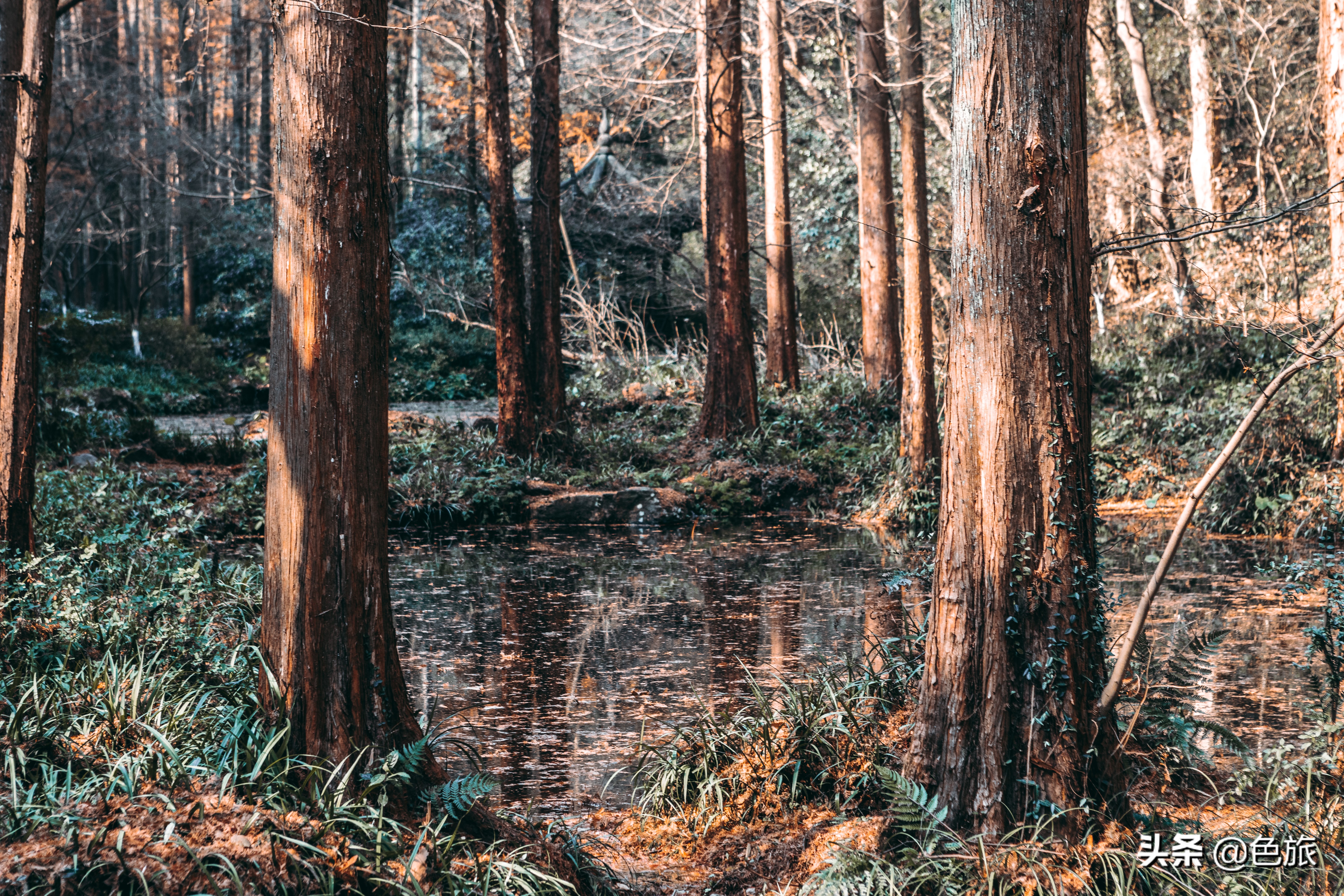 逆水寒游历虎跑梦泉怎么出葫芦,杭州游玩虎跑泉