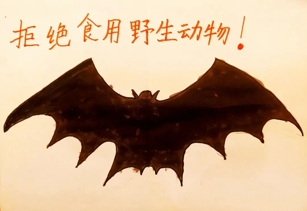 NOEAT这XIE东西！