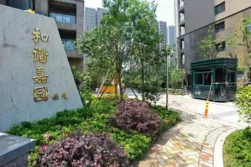 杭州好消息,杭州通报表扬