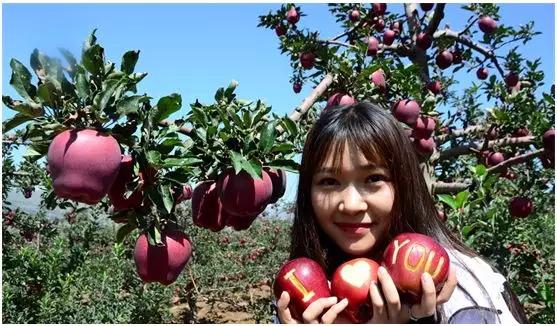 清水县特色美食,清水县美食攻略