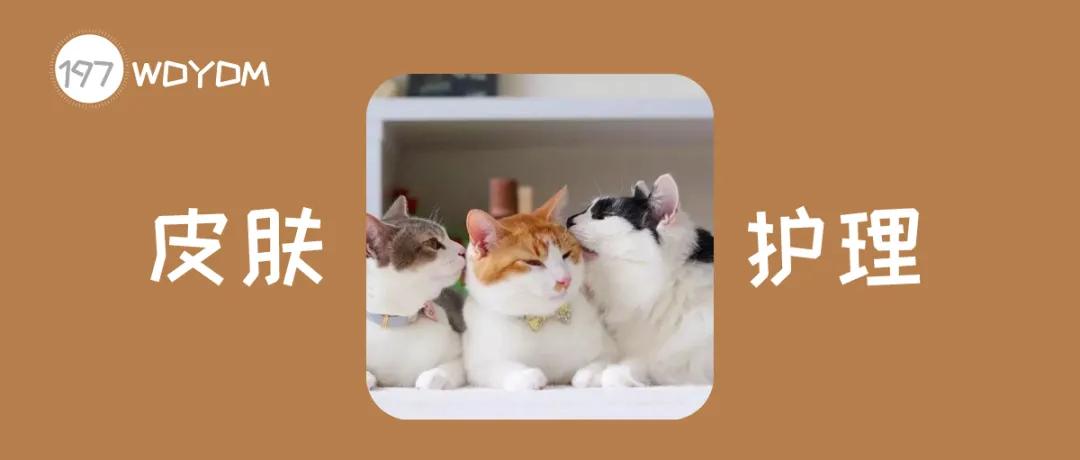 猫咪长猫癣是什么原因引起的,猫咪皮肤病黑色斑块