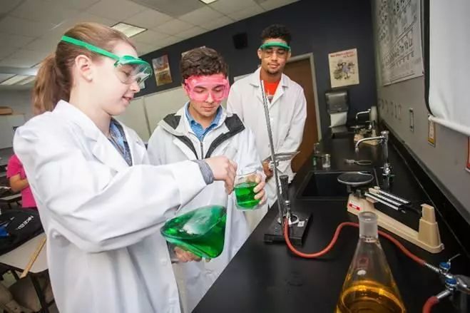 这些学校“都挺好”,新绿洲硅谷优质学校,录取迅速,住家优质!